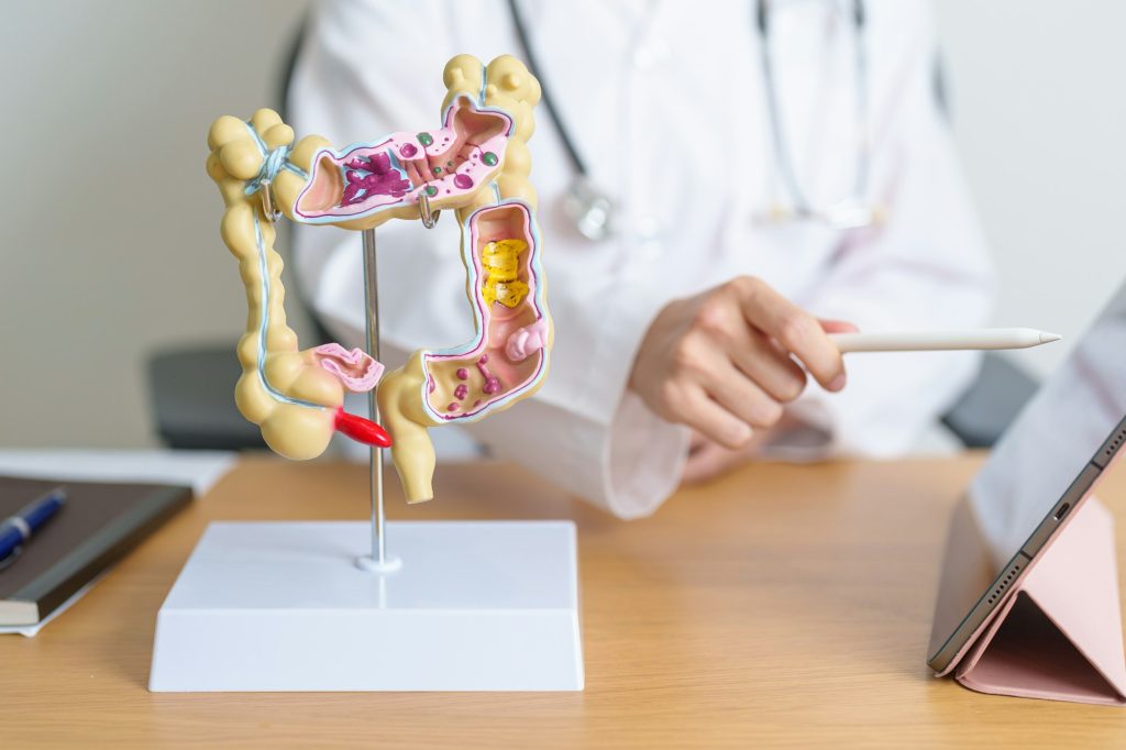 Doctor with human Colon anatomy model and tablet.